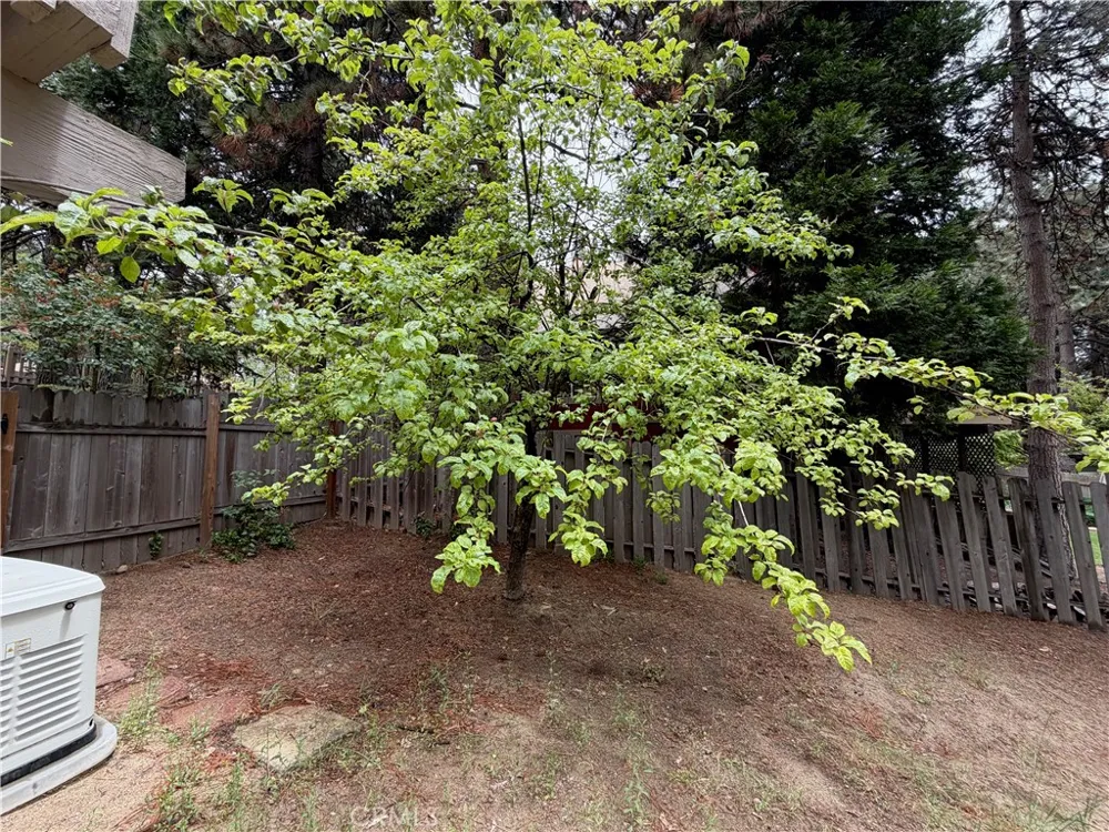 31041 Wild Oak Running Springs, CA 92382
