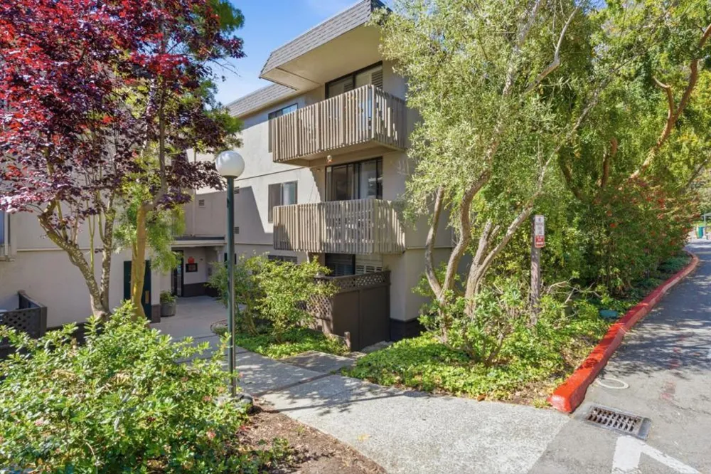 1126 Shelter Creek Lane San Bruno, CA 94066