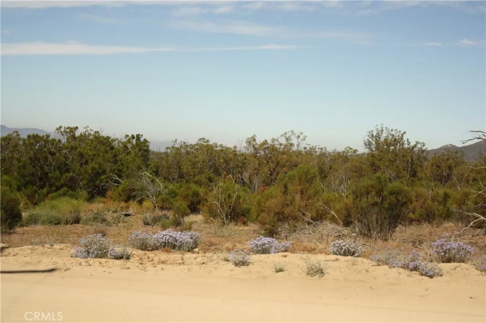 Pony Trail Anza, CA 92539