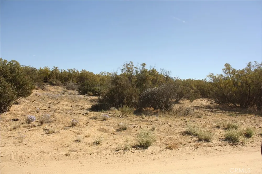 Pony Trail Anza, CA 92539