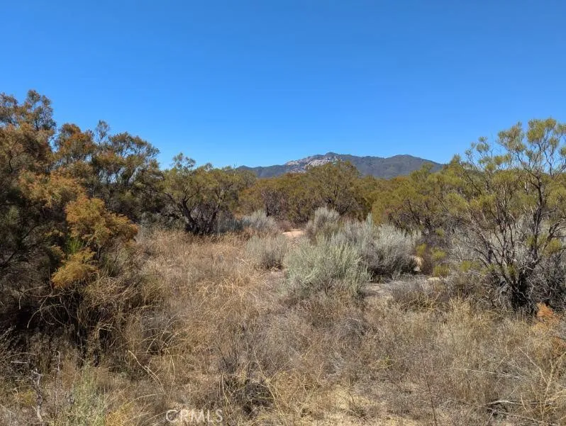 Pony Trail Anza, CA 92539