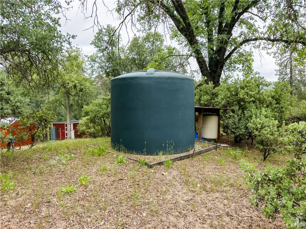 36686 Mattie Fhy Court Coarsegold, CA 93614