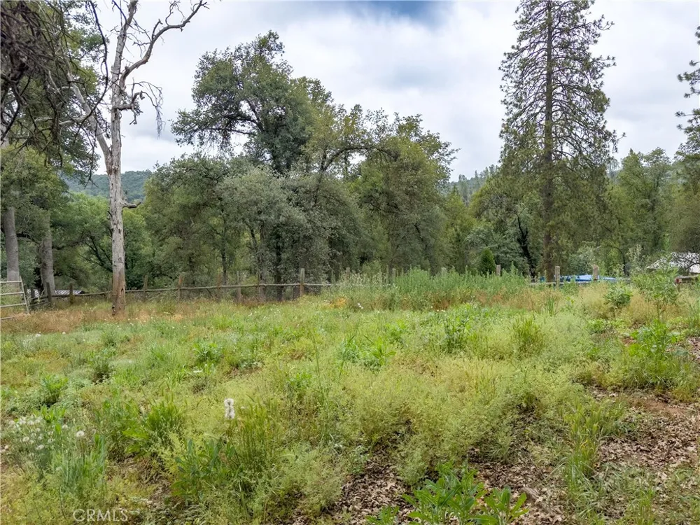 36686 Mattie Fhy Court Coarsegold, CA 93614