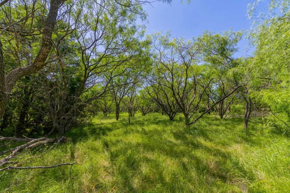 County Road 180 Covered Meadows Ranch Road Purmela, TX 76566