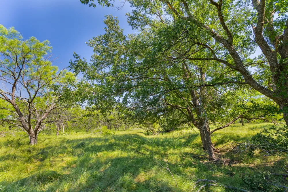 County Road 180 Covered Meadows Ranch Road Purmela, TX 76566