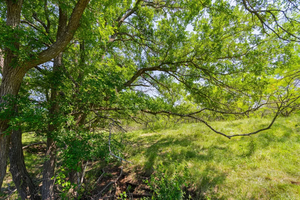County Road 180 Covered Meadows Ranch Road Purmela, TX 76566
