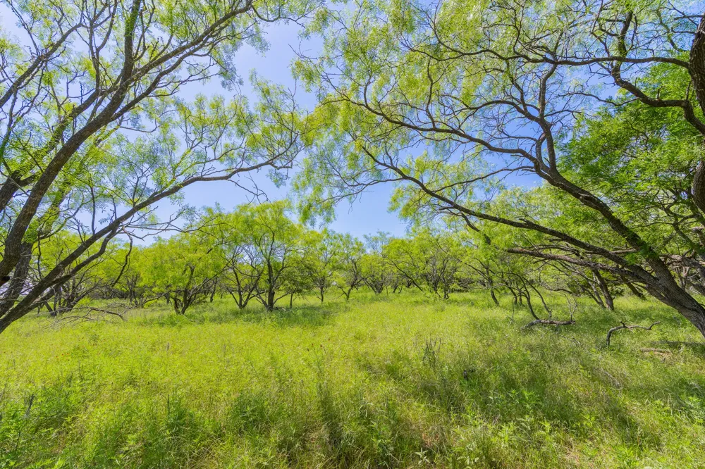 County Road 180 Covered Meadows Ranch Road Purmela, TX 76566