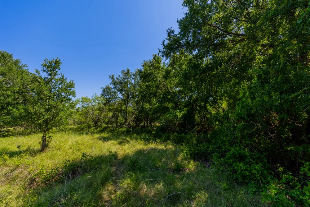 County Road 180 Covered Meadows Ranch Road Purmela, TX 76566