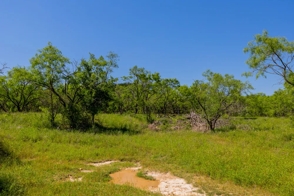 County Road 180 Covered Meadows Ranch Road Purmela, TX 76566