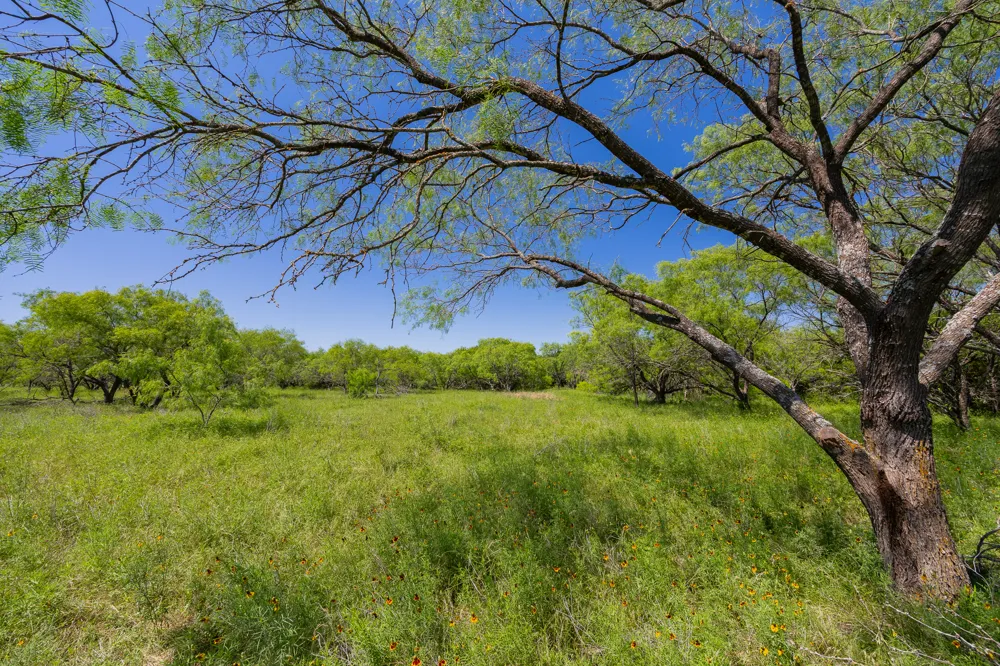 County Road 180 Covered Meadows Ranch Road Purmela, TX 76566