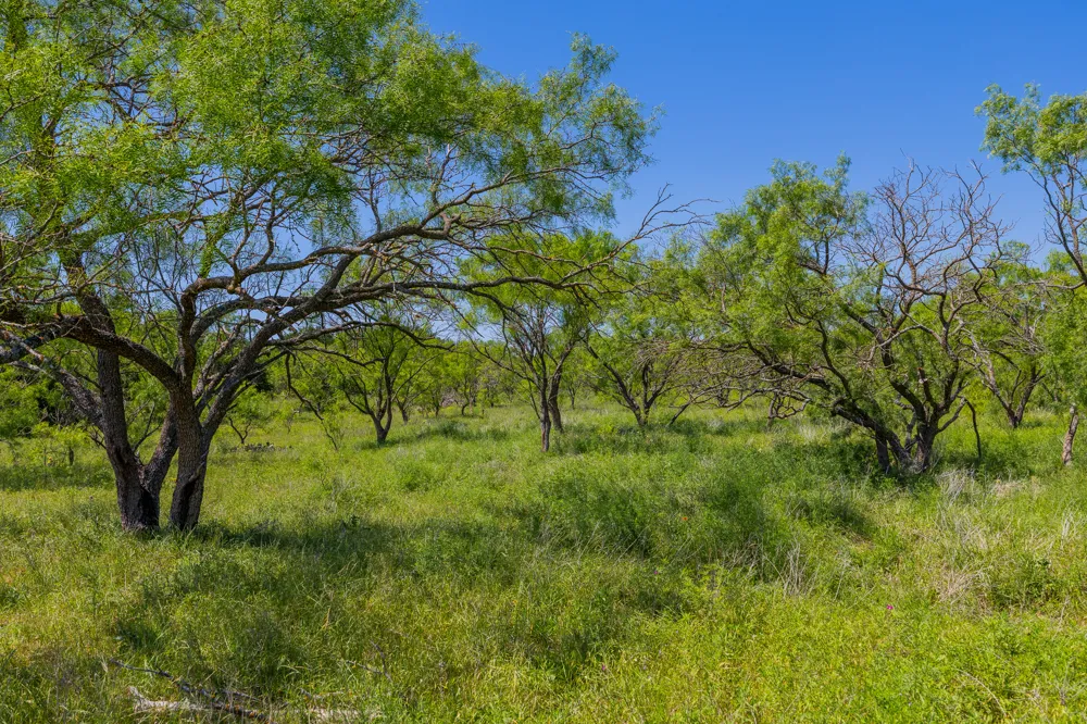County Road 180 Covered Meadows Ranch Road Purmela, TX 76566