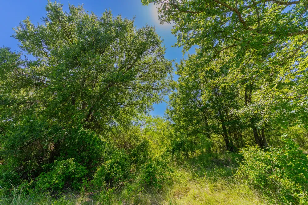 County Road 180 Covered Meadows Ranch Road Purmela, TX 76566
