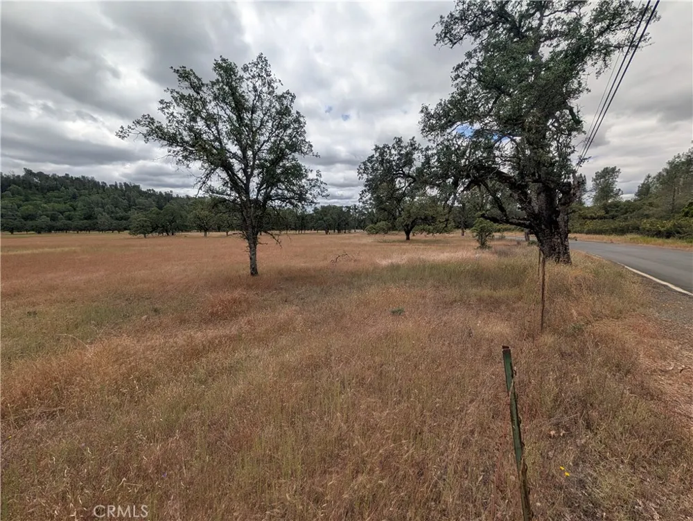 19905 Jerusalem Grade Lower Lake, CA 95457
