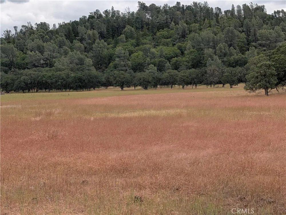 19905 Jerusalem Grade Lower Lake, CA 95457