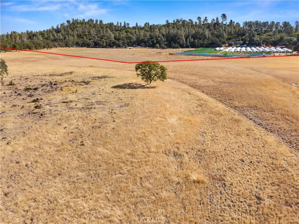 19905 Jerusalem Grade Lower Lake, CA 95457