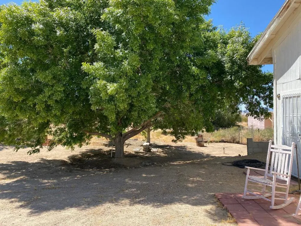 5056 Lazy Lane Johnson Valley, CA 92285