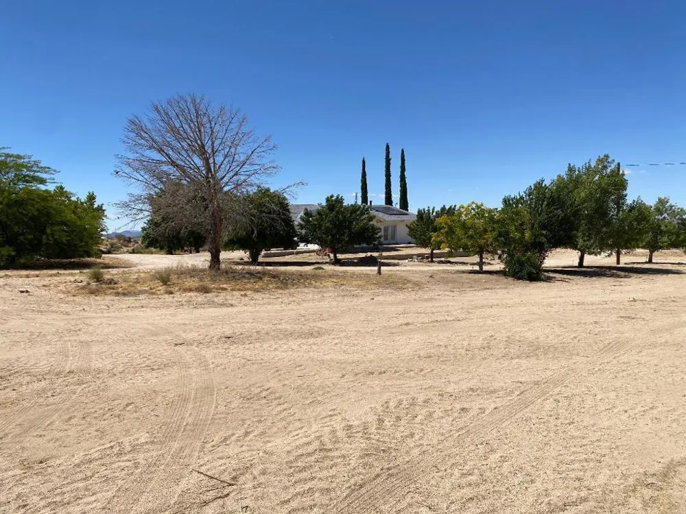 5056 Lazy Lane Johnson Valley, CA 92285