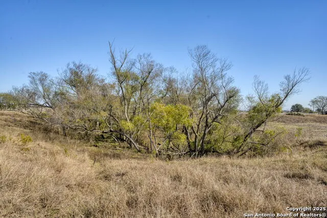 8646 FM 155 LaGrange, TX 78945