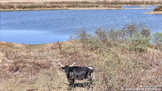 8646 FM 155 LaGrange, TX 78945