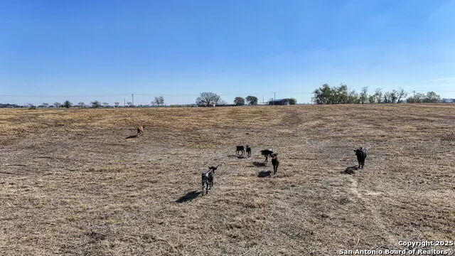 8646 FM 155 LaGrange, TX 78945