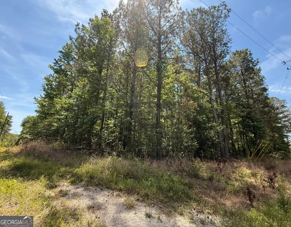 467 N Raburn RD Bremen, GA 30110