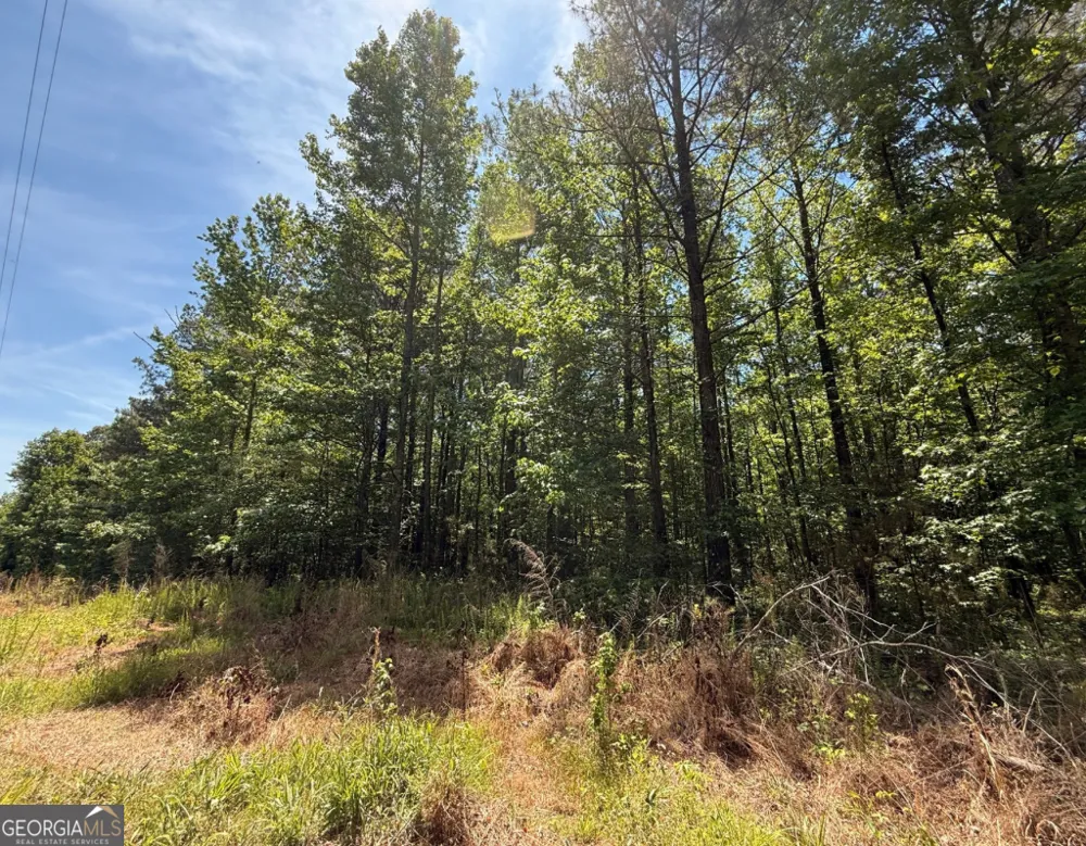467 N Raburn RD Bremen, GA 30110