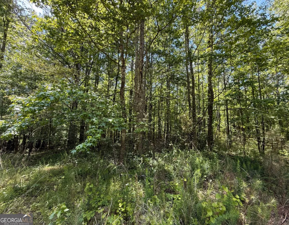 467 N Raburn RD Bremen, GA 30110