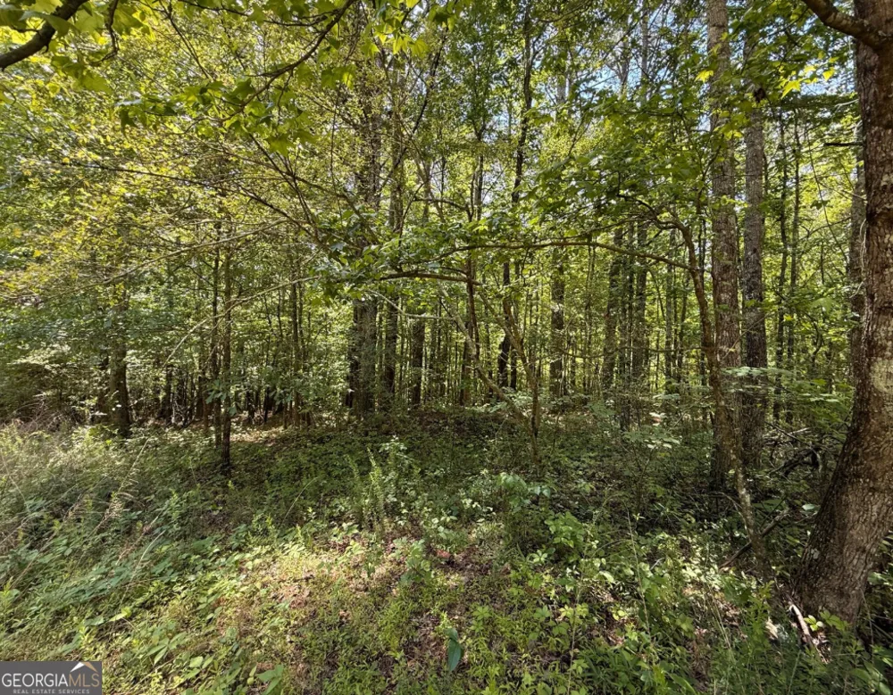 467 N Raburn RD Bremen, GA 30110