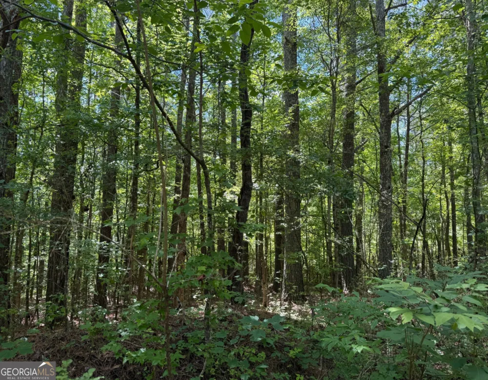 467 N Raburn RD Bremen, GA 30110