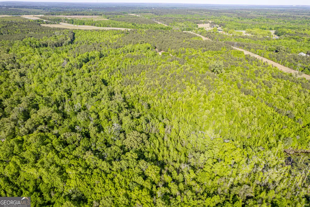 21701 Highway 441 Mcintyre, GA 31054