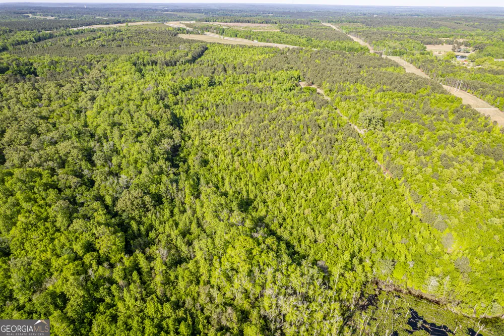 21701 Highway 441 Mcintyre, GA 31054