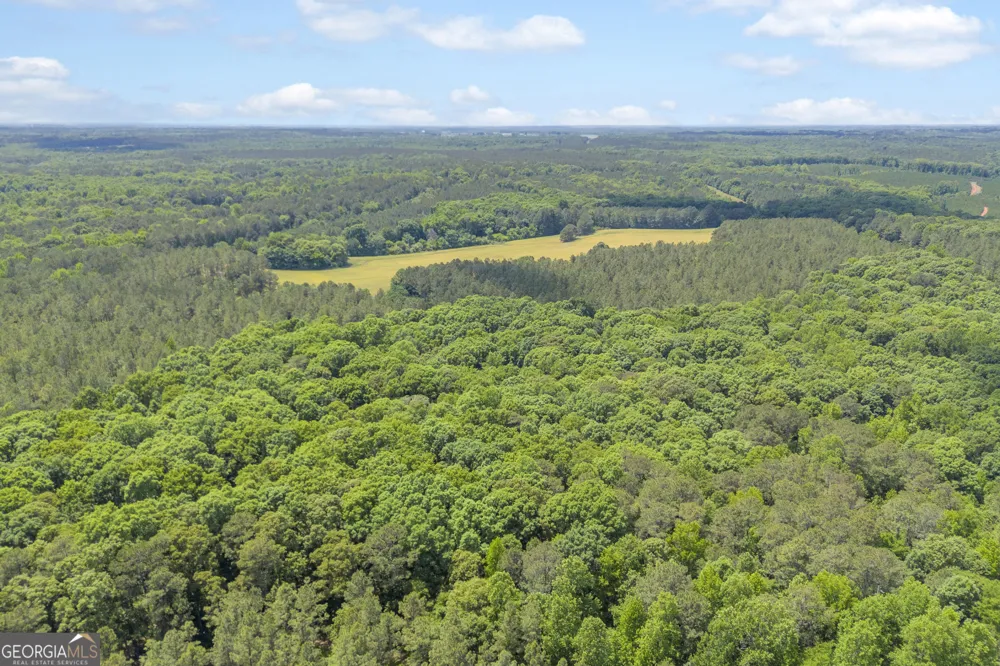 LOT D 0 Pitts Chapel RD Monticello, GA 31064