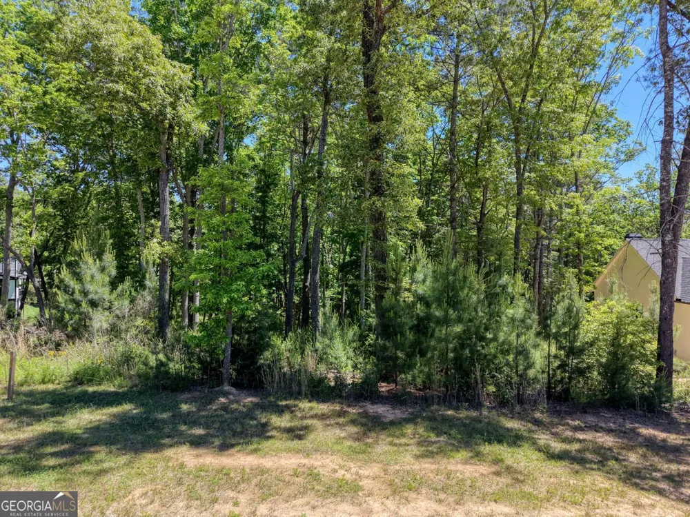 LOT 165 Highland Park Blairsville, GA 30512