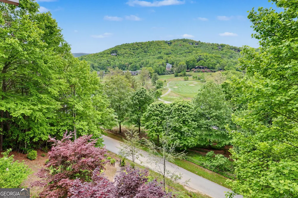 854 Saddleback CIR Dillard, GA 30537