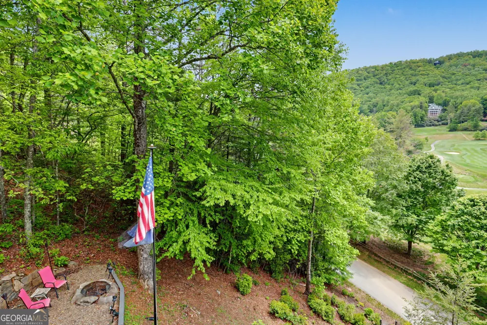 854 Saddleback CIR Dillard, GA 30537