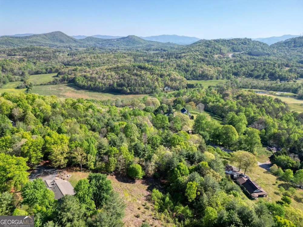 5940 Jackson LN Young Harris, GA 30582