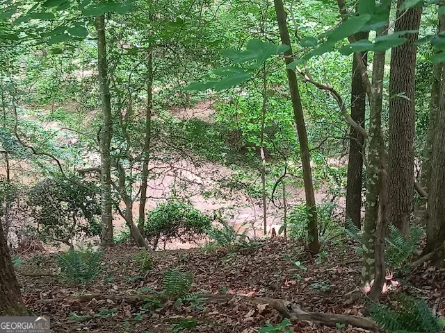 0 Pulliam Mill RD Dewy Rose, GA 30634