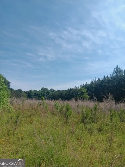 0 Pulliam Mill RD Dewy Rose, GA 30634