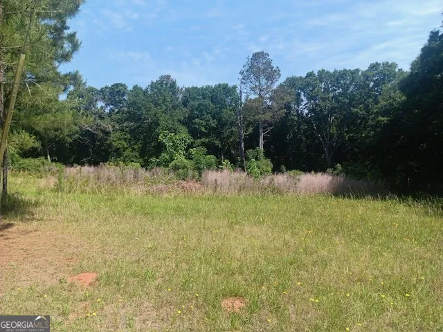 0 Pulliam Mill RD Dewy Rose, GA 30634