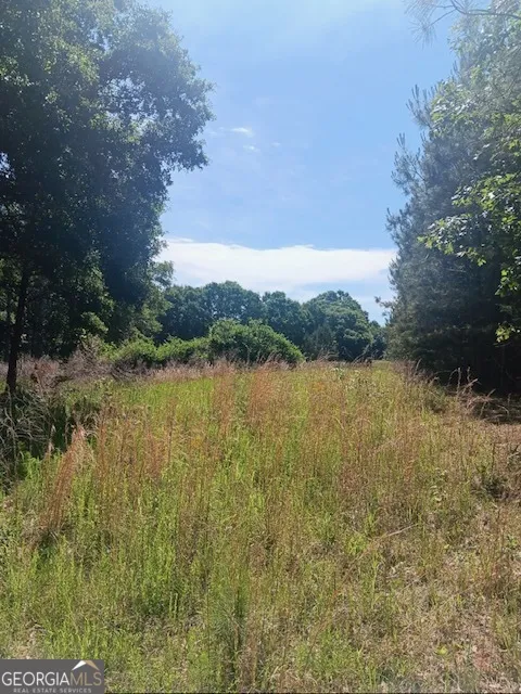 0 Pulliam Mill RD Dewy Rose, GA 30634