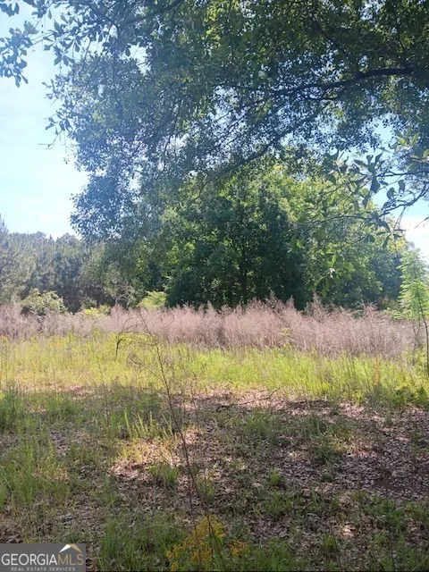 0 Pulliam Mill RD Dewy Rose, GA 30634