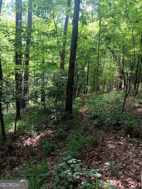 0 Pulliam Mill RD Dewy Rose, GA 30634