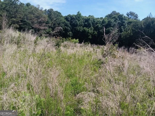 0 Pulliam Mill RD Dewy Rose, GA 30634