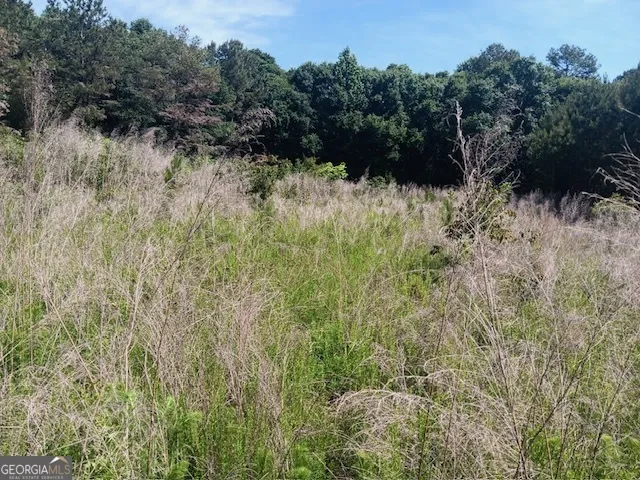 0 Pulliam Mill RD Dewy Rose, GA 30634