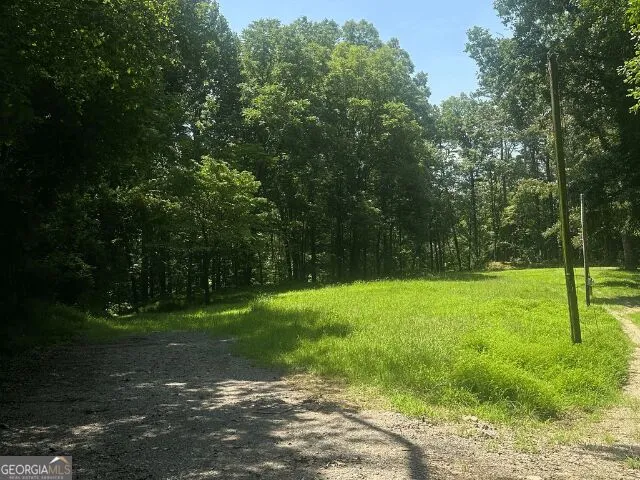 25 Jericho LN Dahlonega, GA 30533