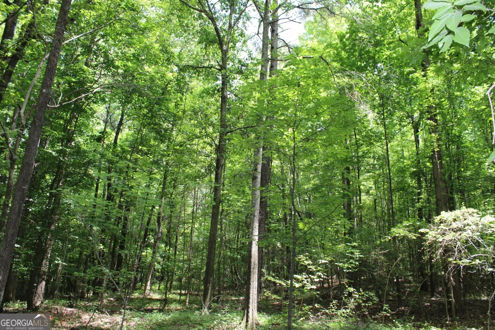 2 Neese Commerce RD Commerce, GA 30529