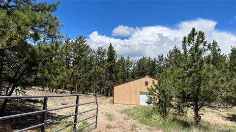 207 Little Bear Drive