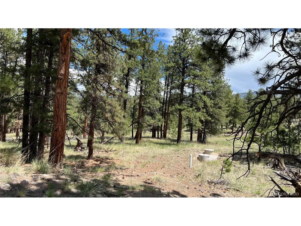 207 Little Bear Drive Westcliffe, CO 81252
