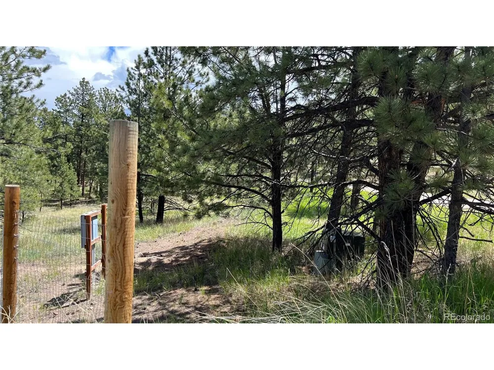 207 Little Bear Drive Westcliffe, CO 81252