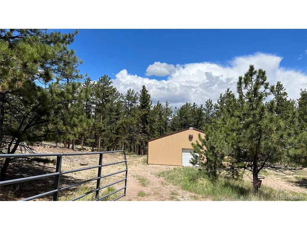207 Little Bear Drive Westcliffe, CO 81252